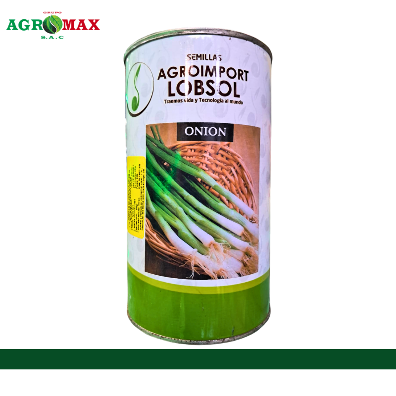 CEBOLLA CHINA ONION
